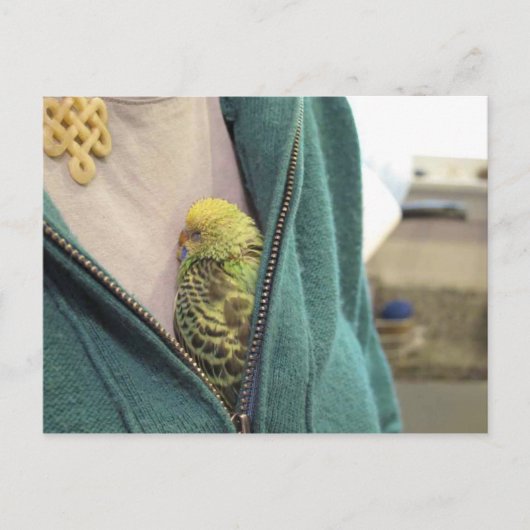 Awww, dus Cute!!!!!!!!! Briefkaart (Voorkant)