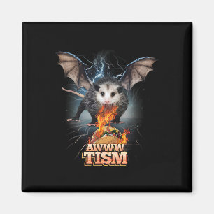 Awww Tisme Leuk Opossum Spuwt Geen Vuur Opossum Me Magneet