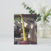 Ax Briefkaart (Staand voorkant)