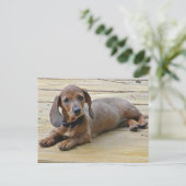 AX- Cute Dachshund-Briefkaarten Briefkaart (Staand voorkant)