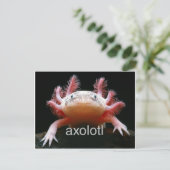 Axolotl Axolotl Axolotl Axolotl Briefkaart (Staand voorkant)