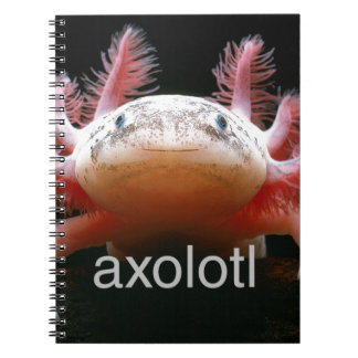 Axolotl Axolotl Axolotl Axolotl Notitieboek