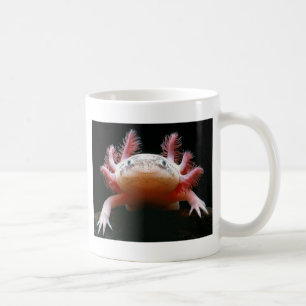 Axolotl Axolotl.png Koffiemok
