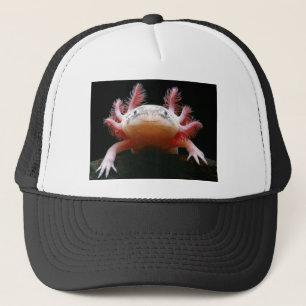Axolotl Axolotl.png Trucker Pet