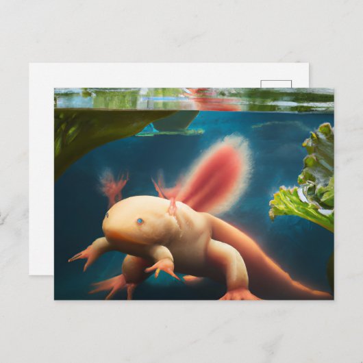 Axolotl Briefkaart (Voorkant / Achterkant)