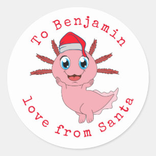 Axolotl Childs Name Love of Santa Kerstman Ronde Sticker