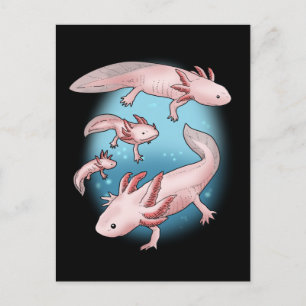 Axolotl Gift Kinderen Kawaii Axolotl Gifts Mannen Briefkaart