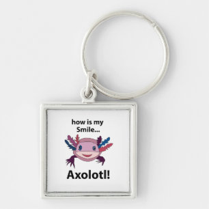 Axolotl Hoe is mijn glimlach grappig Axolotl Sleutelhanger