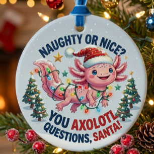 Axolotl Kerstman Ornament - You Axolotl Vragen Leu