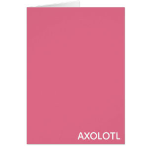 Axolotl pink color name