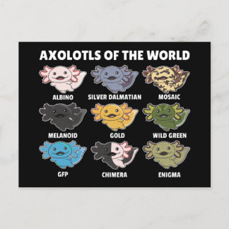Axolotl post van de wereldzoete dieren briefkaart