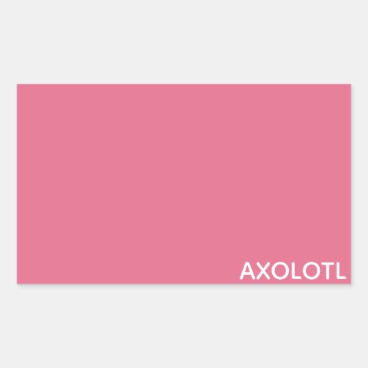 Axolotl roze kleurnaam rechthoekige sticker (Voorkant)