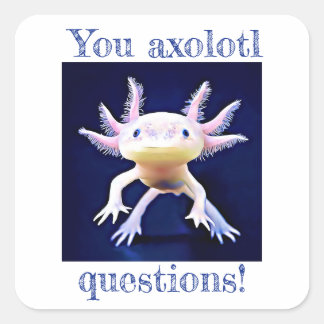 Axolotl Salamander Amphibian Vierkante Sticker