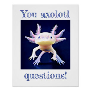 Axolotl Salamander Poster Amphibien