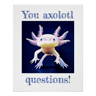 Axolotl Salamander Poster Amphibien