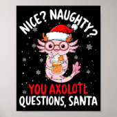 Axolotl Santa Hat Axolotl Questions Christmas Boys Poster (Voorkant)