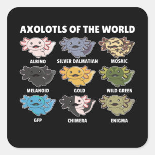 Axolotl squa vierkante sticker