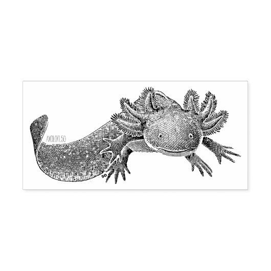 Axolotl Stempel (Afrduk)