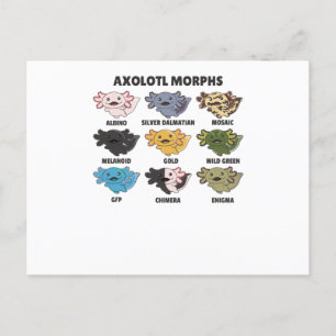 Axolotl van zoete dieren uit de wereld briefkaart