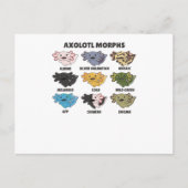 Axolotl van zoete dieren uit de wereld briefkaart (Voorkant)