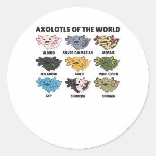 Axolotl van zoete dieren uit de wereld ronde sticker