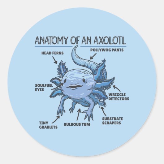Axolotl-verklaringsanatomie van een asolotl-klassi ronde sticker (Voorkant)