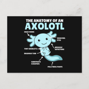 Axolotl-verklaringsanatomie van een Axolotl Briefkaart