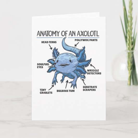 Axolotl-verklaringsanatomie van een Axolotl Kaart (Voorkant)