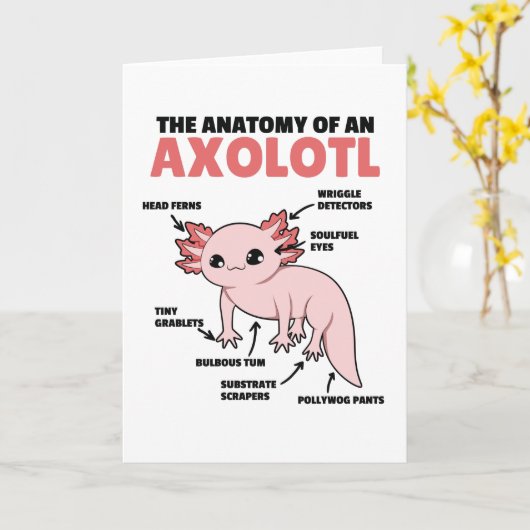 Axolotl-verklaringsanatomie van een Axolotl Kaart (Gele Bloem)