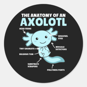 Axolotl-verklaringsanatomie van een Axolotl Ronde Sticker