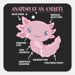 Axolotl-verklaringsanatomie van een Axolotl Vierkante Sticker