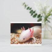 Axolotl Weißling Briefkaart (Staand voorkant)