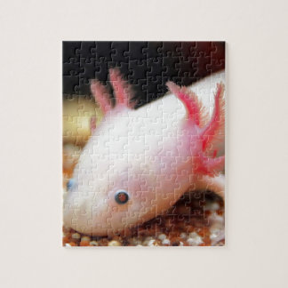 Axolotl Weißling Legpuzzel