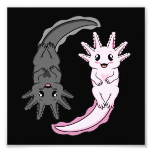 Axolotl Yin Yang Kawaii Animal Axolotls Lover Owne Foto Afdruk