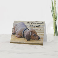 AY wordt de Grappige Dachsund Hond van het Puppy
