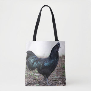 Ayam Cemani Cochmakreel Black Chicken Rooster Draagtas