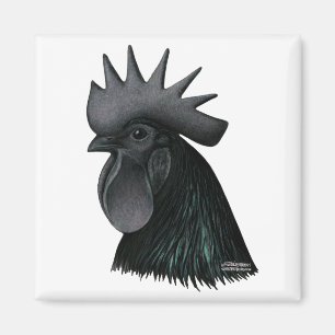Ayam Cemani Rooster Head Magneet