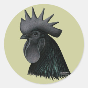 Ayam Cemani Rooster Head Ronde Sticker