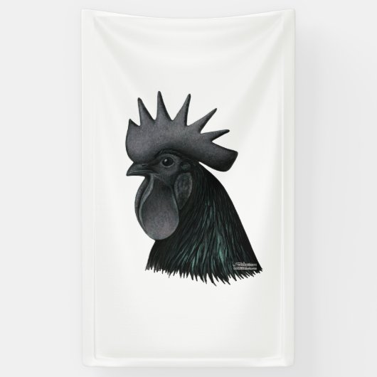 Ayam Cemani Rooster Head Spandoek (Verticaal)