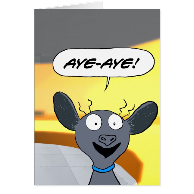 Aye-Aye. (Voorkant)
