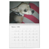 Aye Chihuahua 2011 Kalender (Feb 2026)
