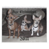 Aye Chihuahua 2011 Kalender (Hoes)