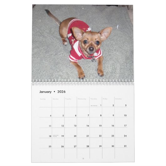 Aye Chihuahua 2011 Kalender (Jan 2026)
