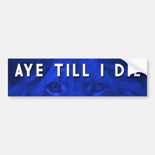 AYE TILL I DIE BUMPERSTICKER (Voorkant)