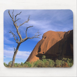 Ayers Rock Uluru in de Outback Australia Muismat