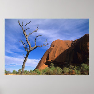 Ayers Rock Uluru in de Outback Australia Poster