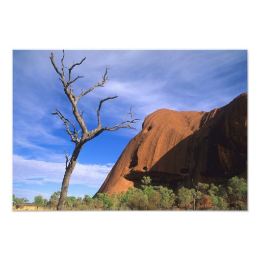 Ayers Rock Uluru in de Outback Australië Foto Afdruk (Voorkant)