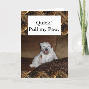 Ayez une carte d'anniversaire de souffle