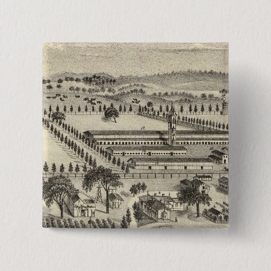 Ayrshire Boerderij Vierkante Button 5,1 Cm (Voorkant)