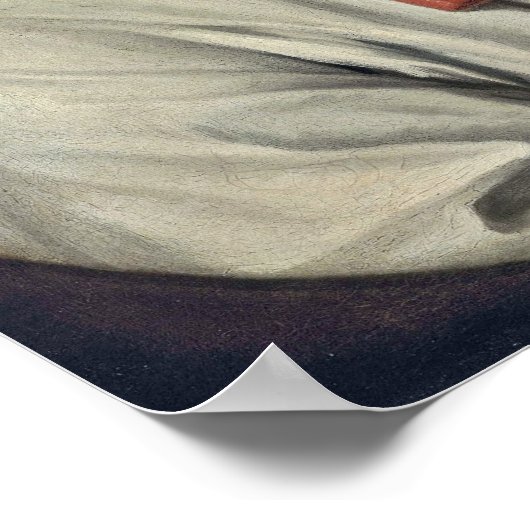 Ayuba Suleiman Diallo door William Hoare Poster (Hoek)